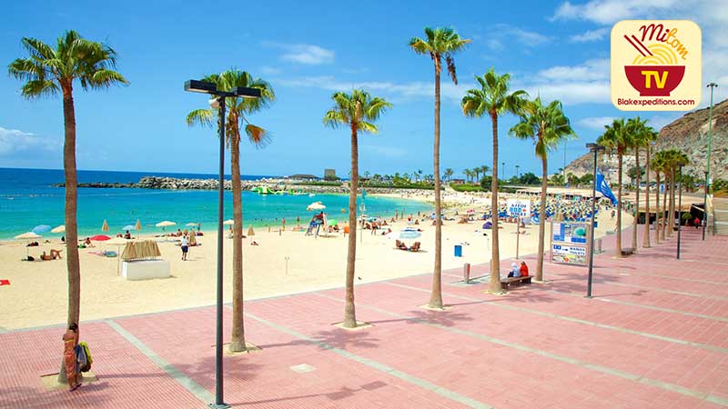 Câu lạc bộ có trụ sở chính tại Las Palmas de Gran Canaria