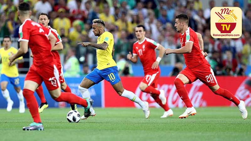 Đội tuyển Brazil đã thắng cả 3 lần đối trước Serbia